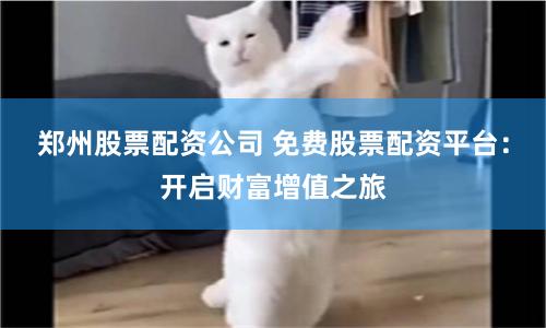 郑州股票配资公司 免费股票配资平台：开启财富增值之旅